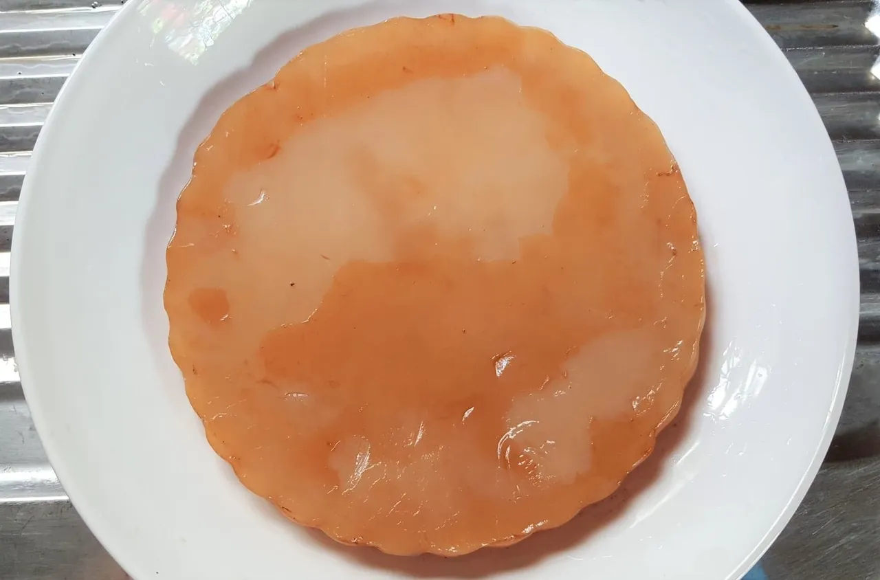 Scoby2 2.jpg