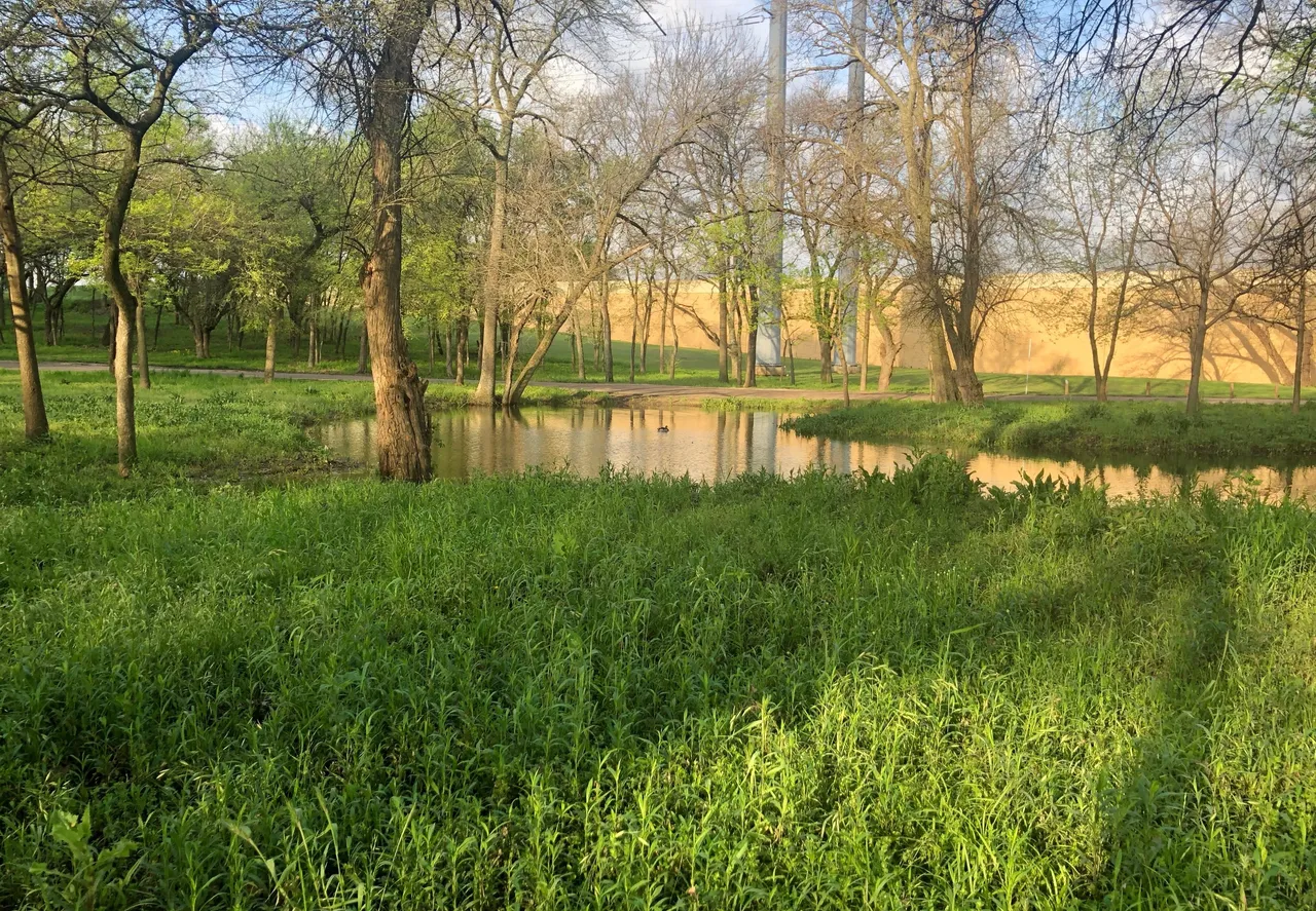 IMG_1041.jpeg