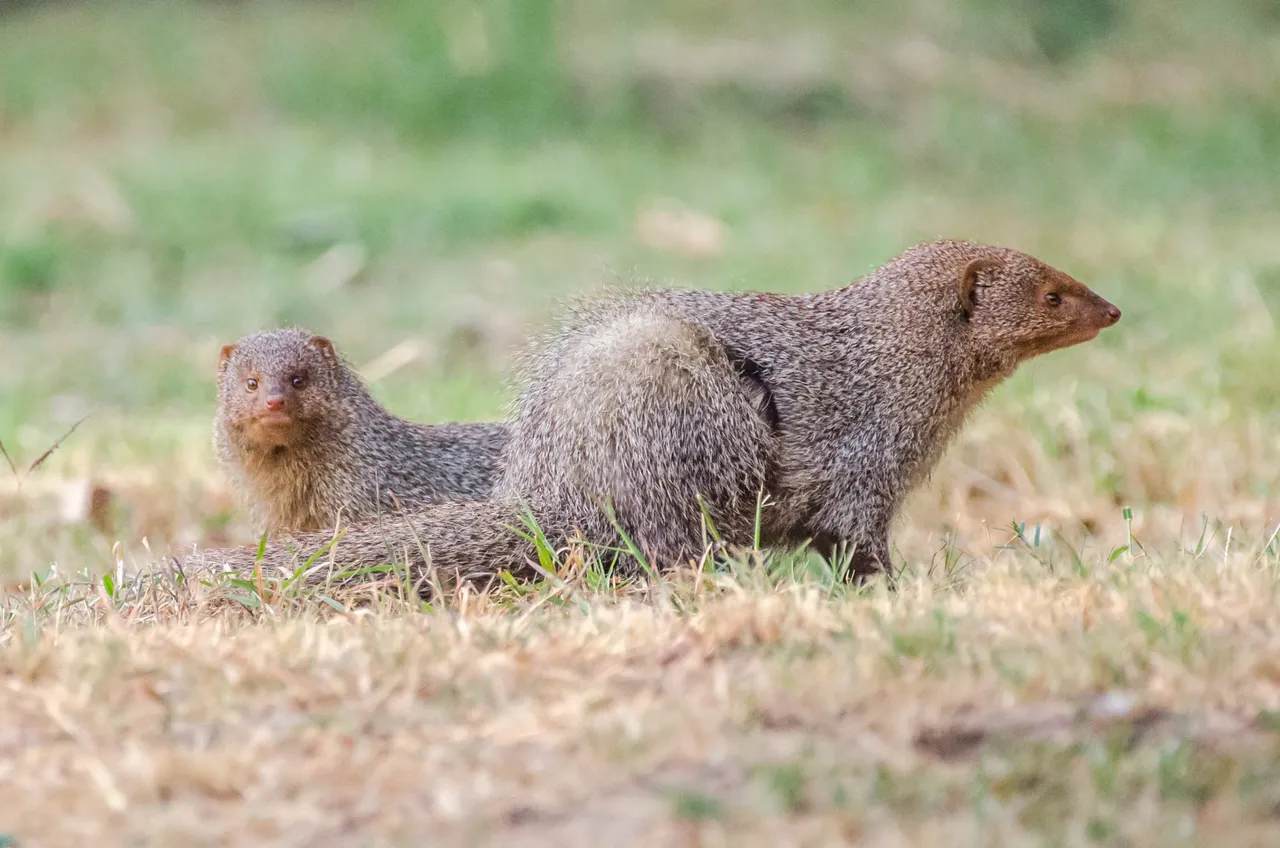 DSC_4055.jpg