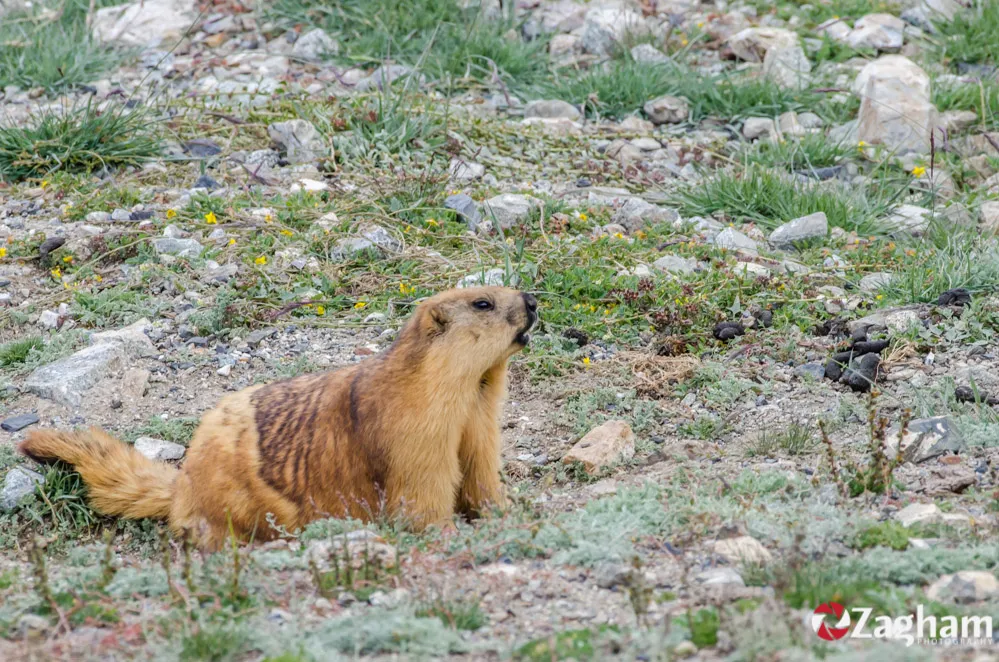 DSC_0400.jpg