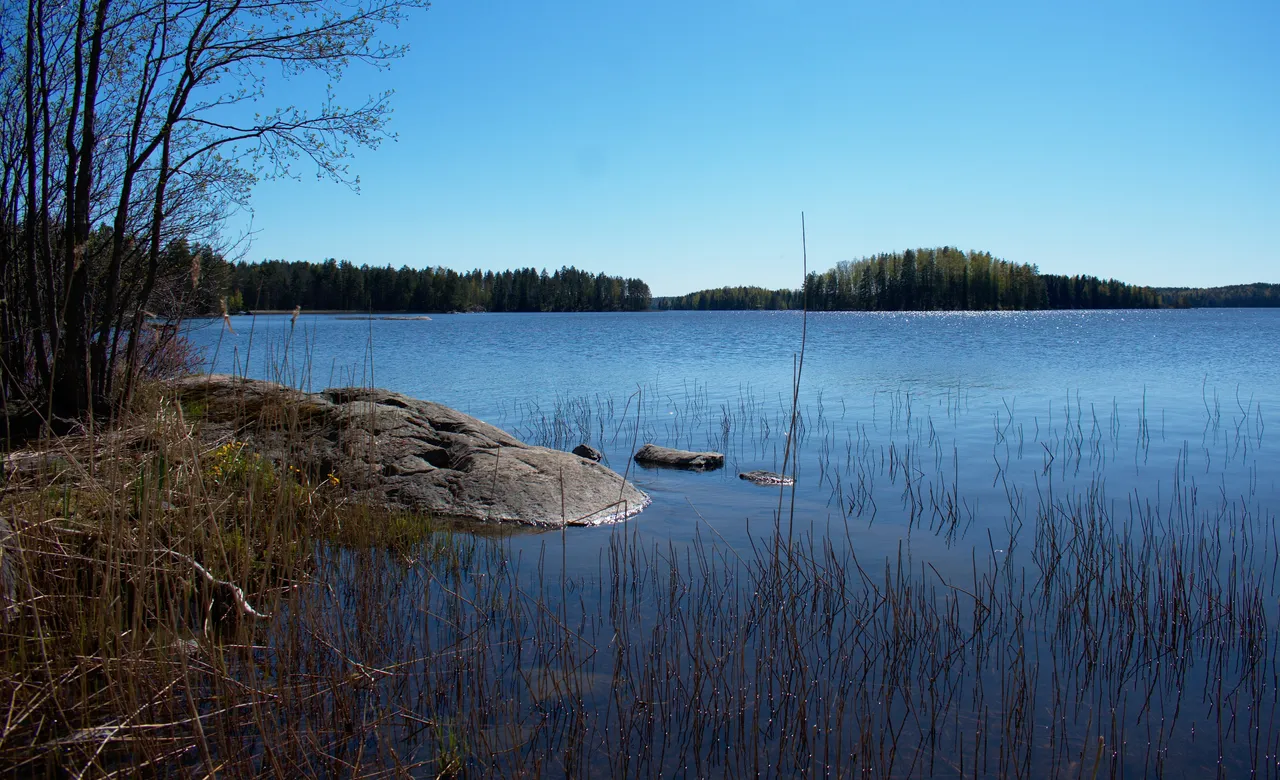 DSC_0187 2.jpg