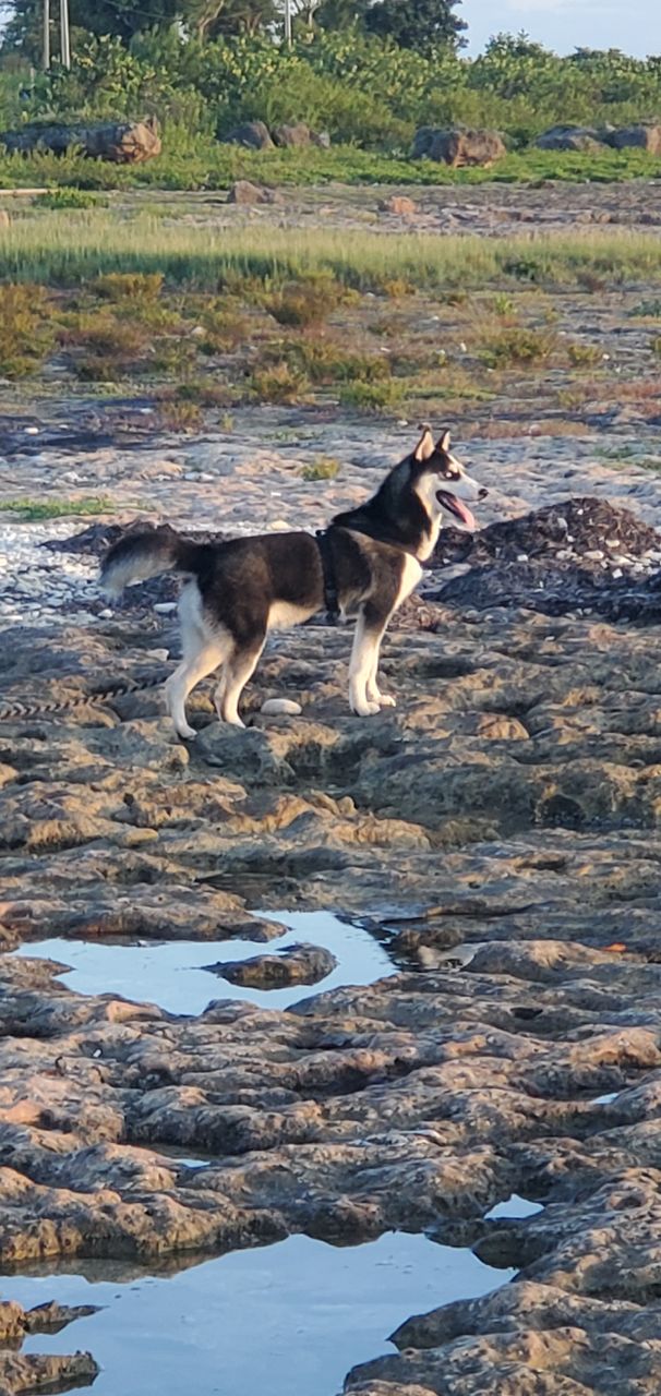 20190914_190531.jpg