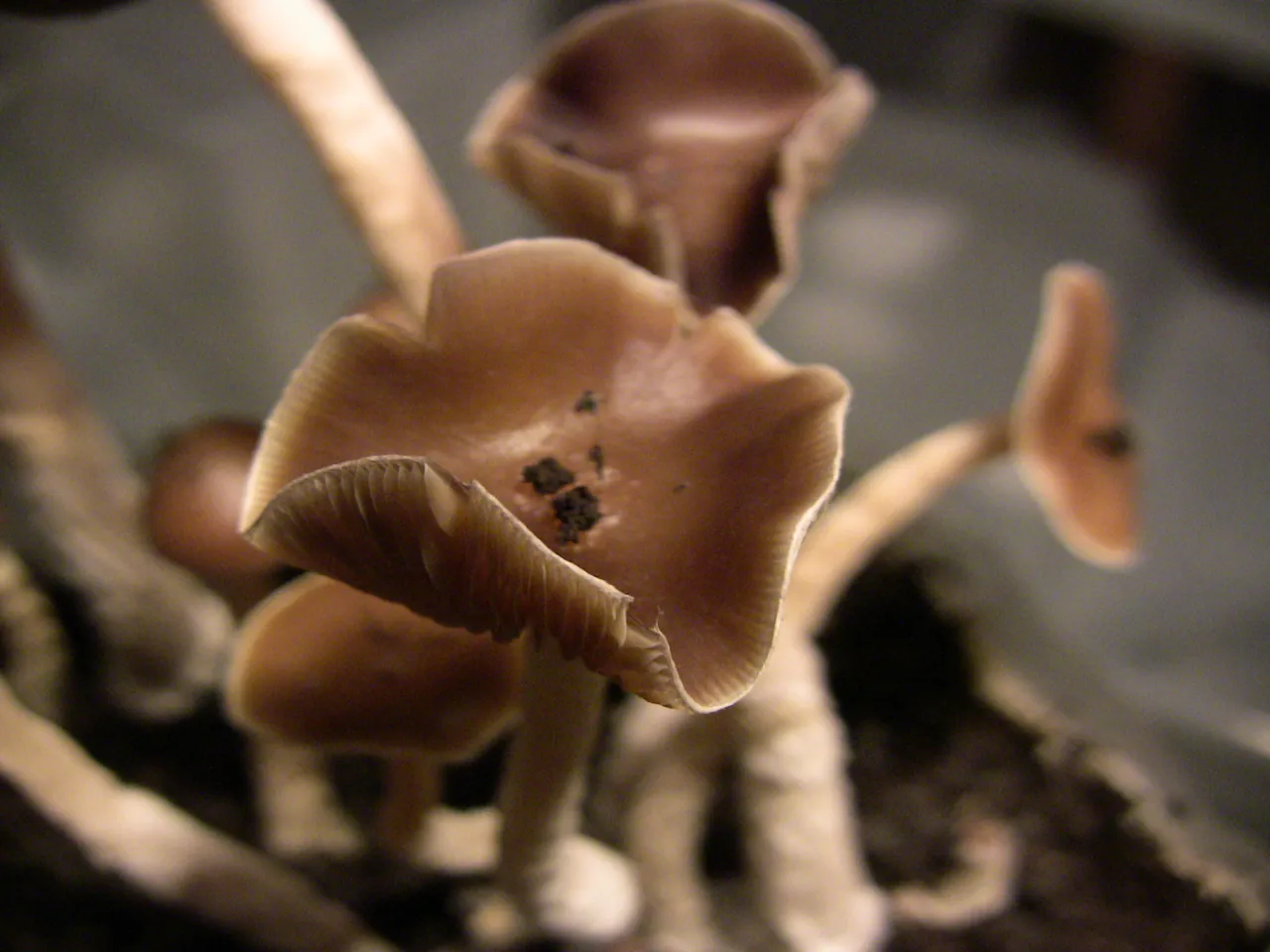 2010.04.18 5.JPG