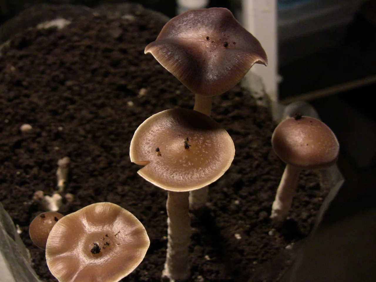 2010.04.20 1.JPG