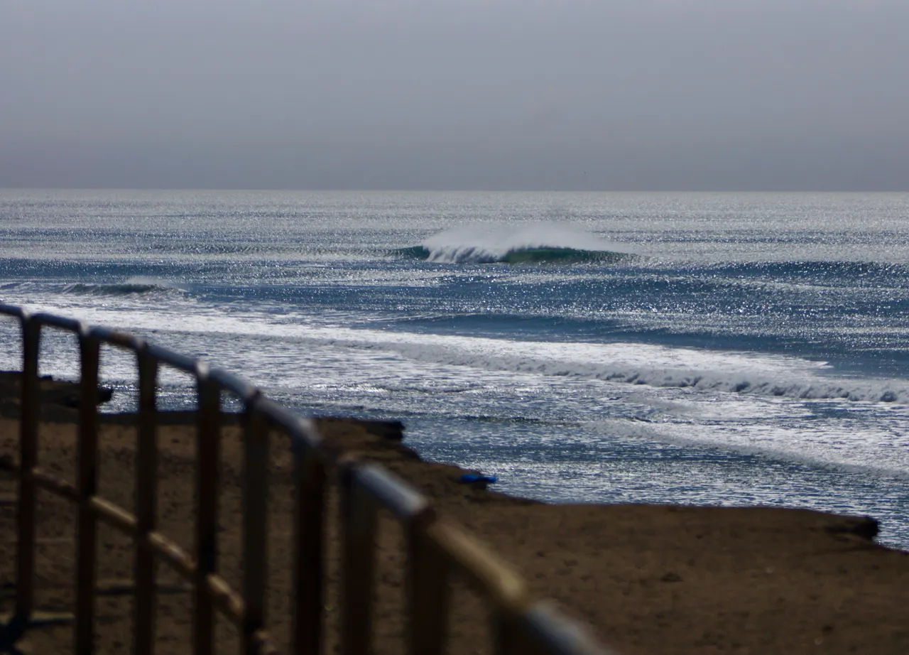 _DSC7893.jpeg