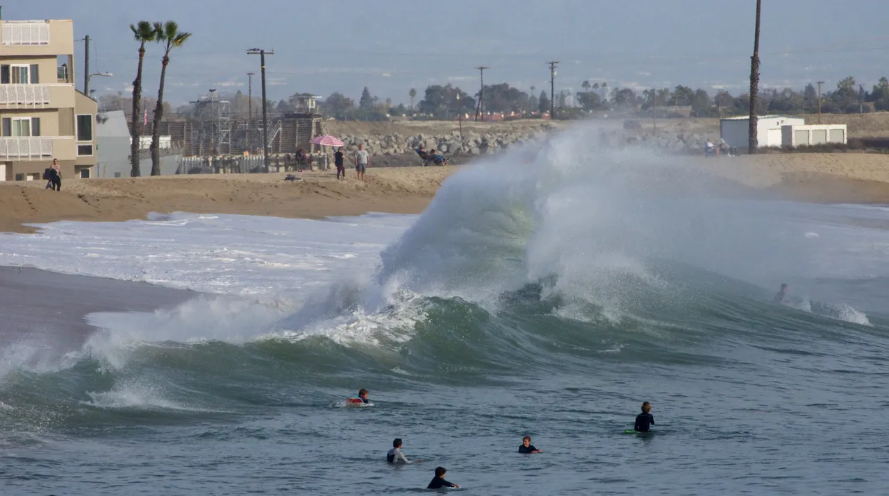 _DSC4717.jpeg
