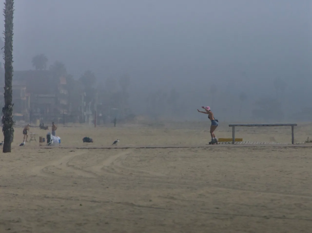 _DSC9780.jpeg