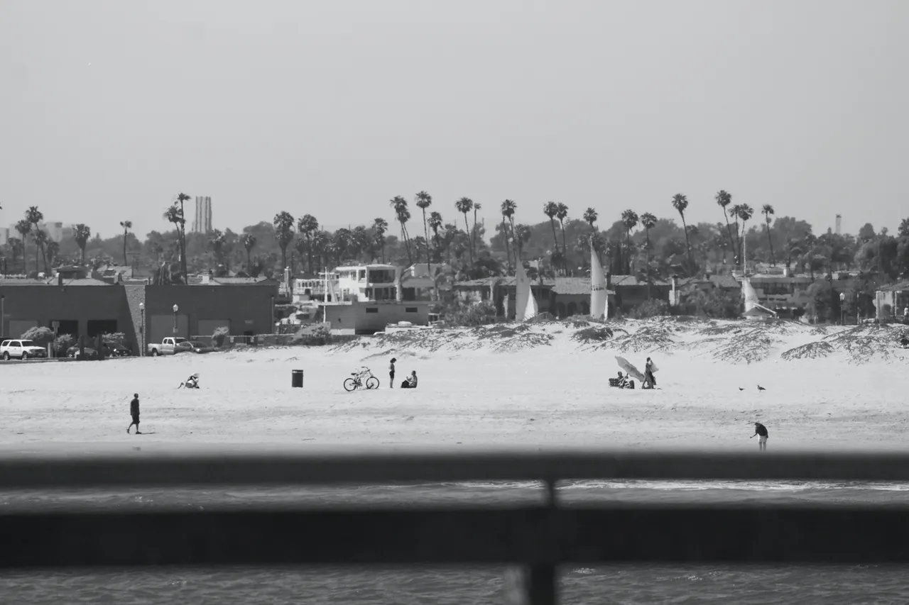 _DSC8462.jpeg