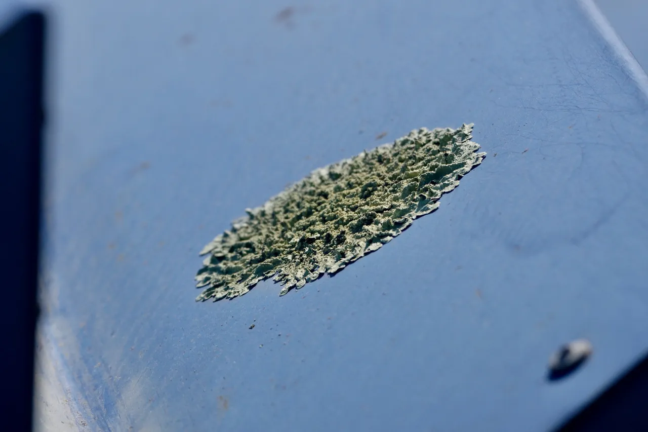 _DSC2264.jpeg