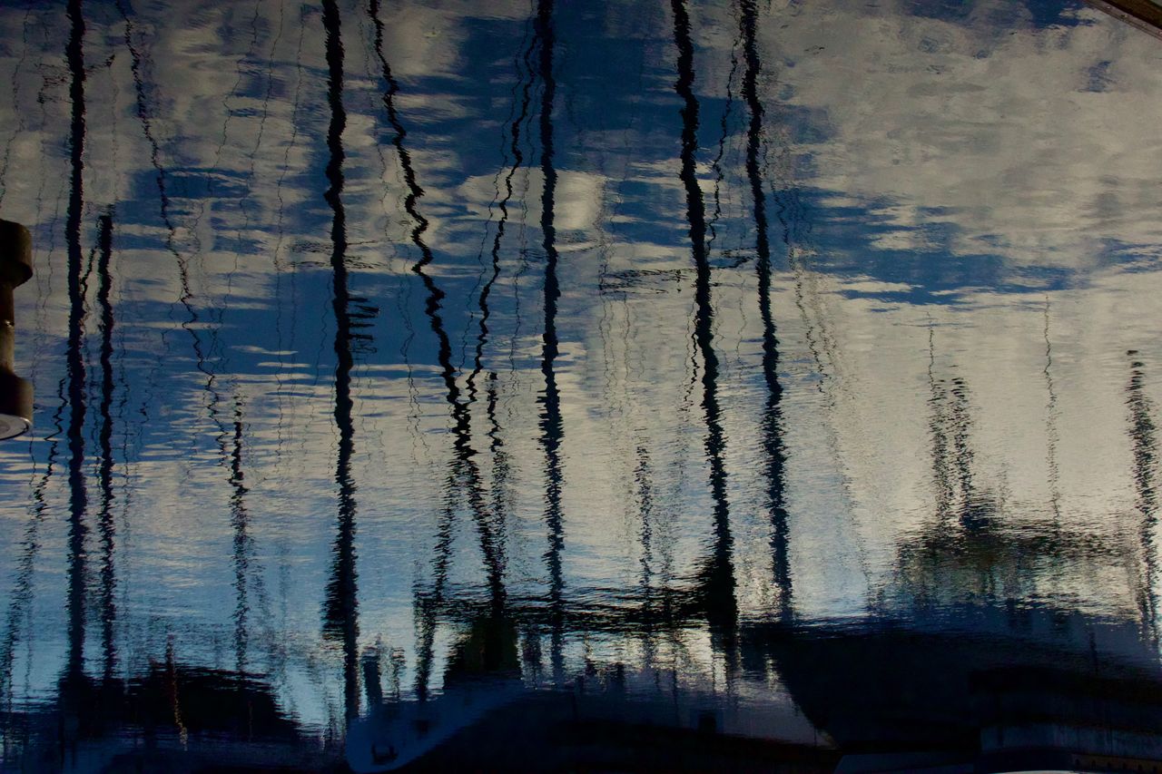 _DSC5914.jpeg