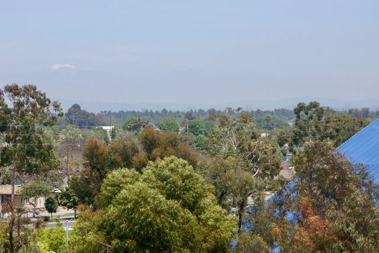 _DSC2310.jpeg