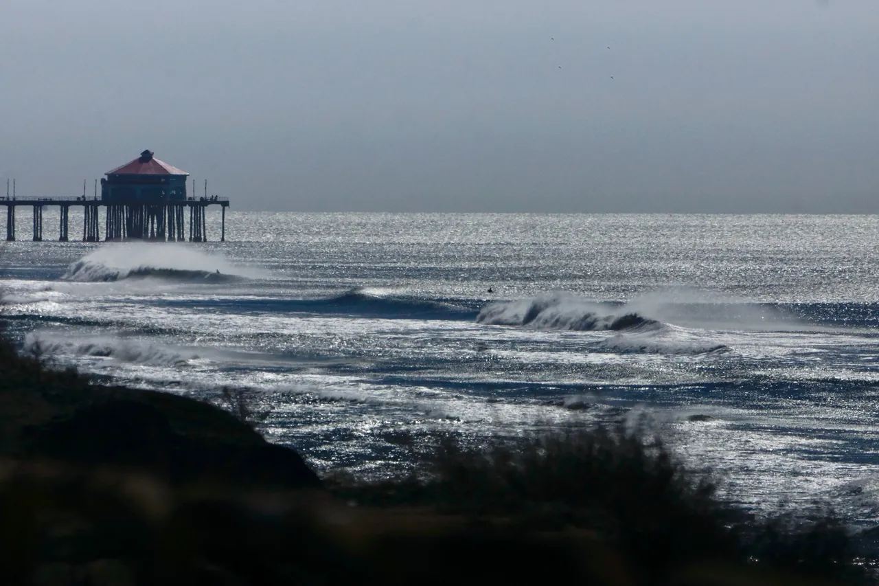 _DSC2530.jpeg