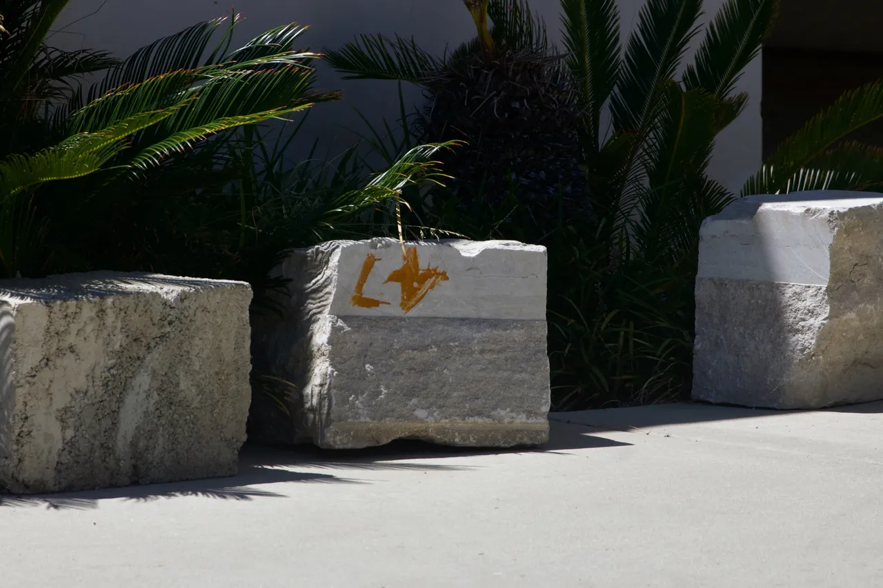 _DSC2378.jpeg