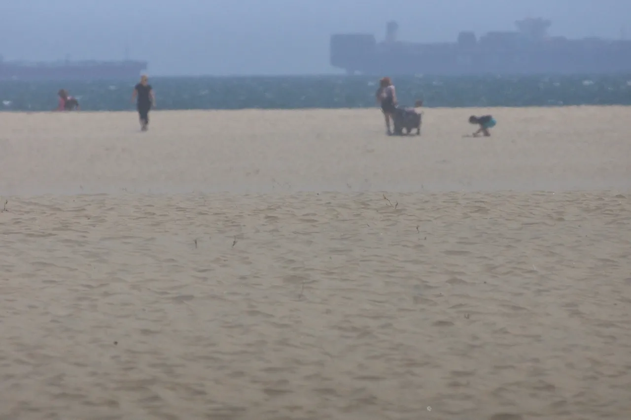 _DSC6094.jpeg