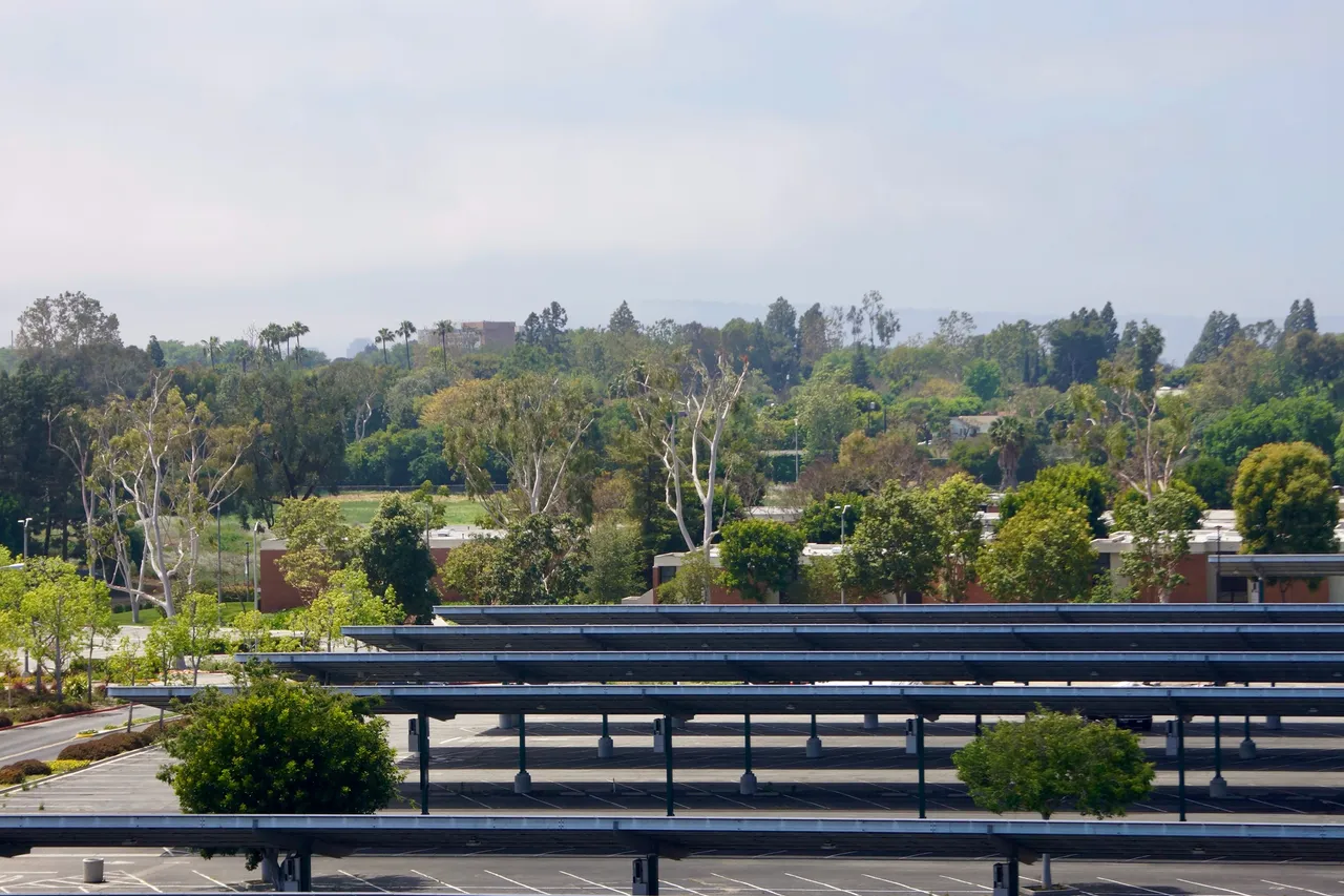 _DSC2312.jpeg