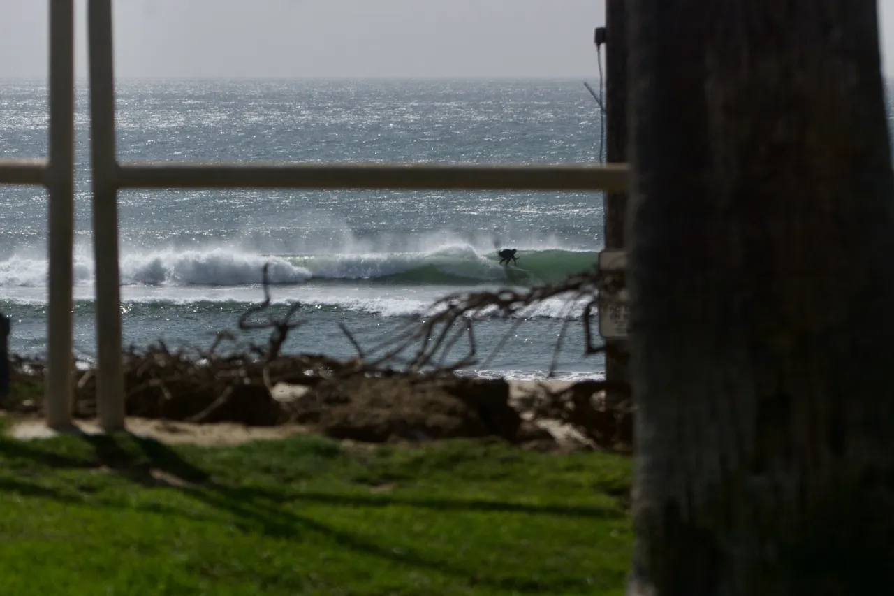 _DSC3635.jpeg