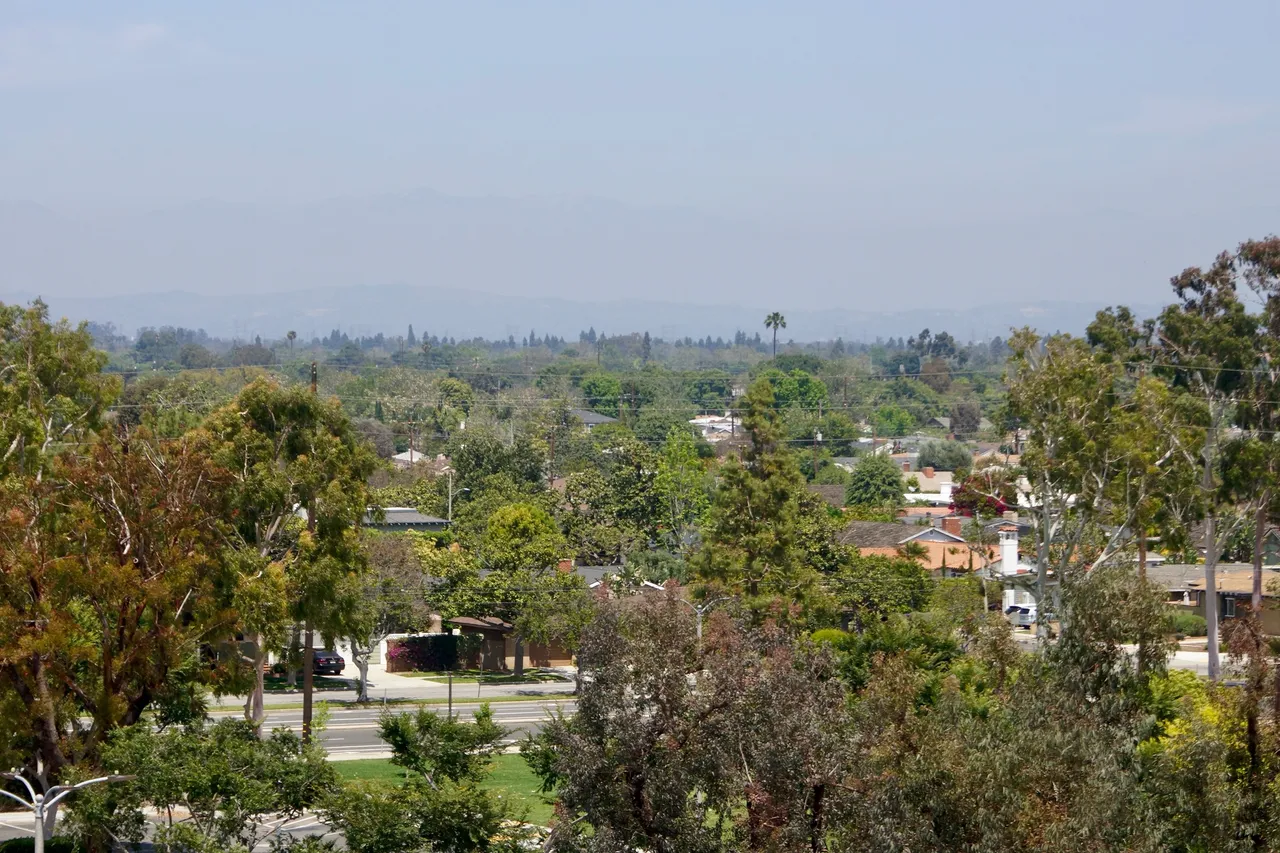 _DSC2309.jpeg