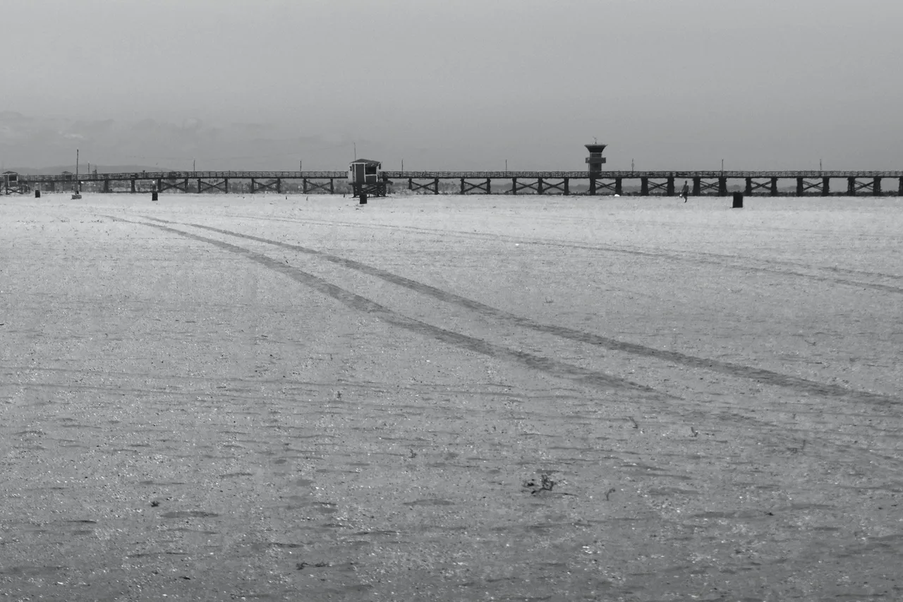 _DSC4425.jpeg