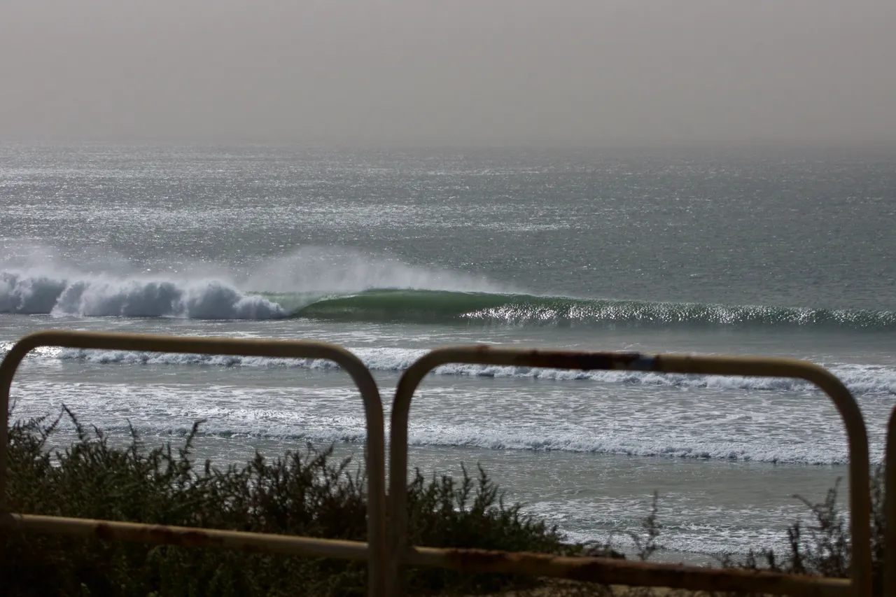 _DSC2237.jpeg
