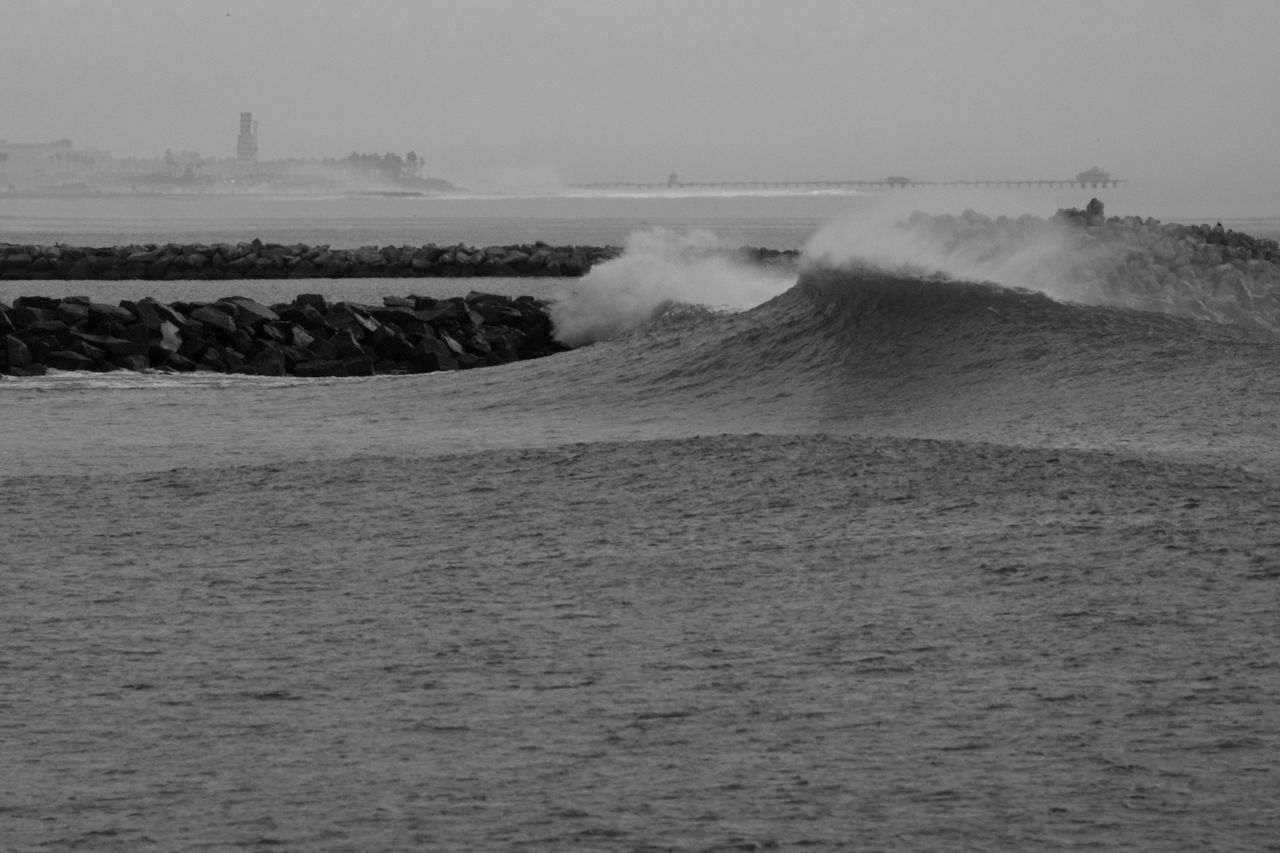 _DSC2733.jpeg