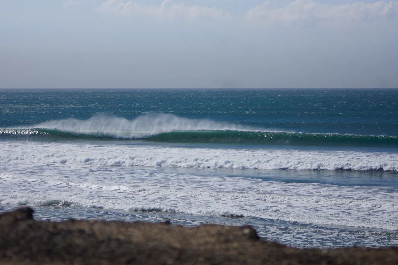 _DSC7565.jpeg