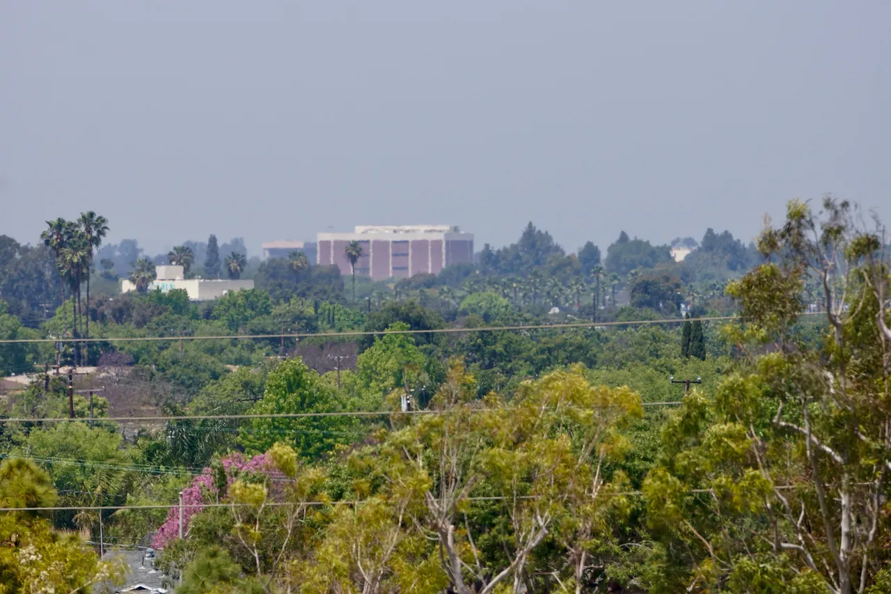 _DSC2305.jpeg