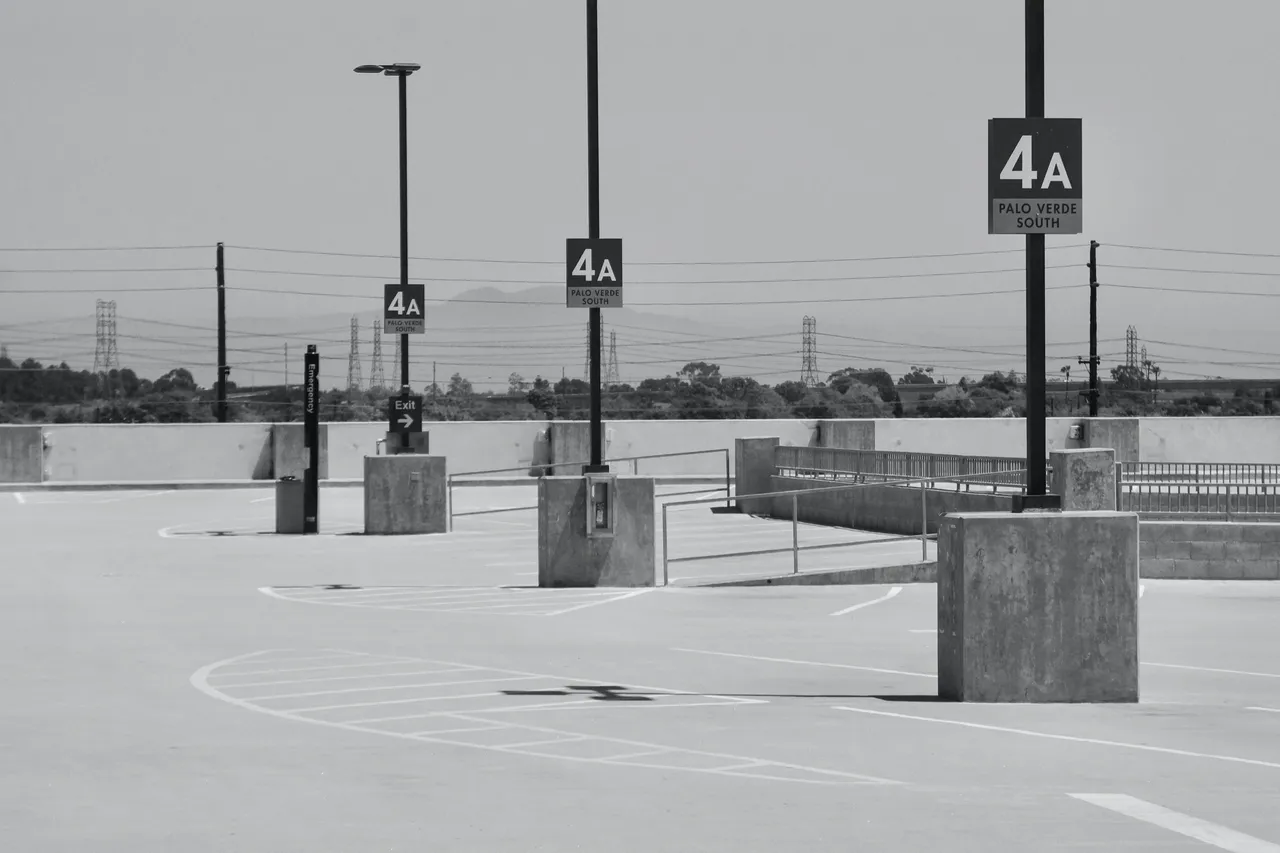_DSC1317.jpeg