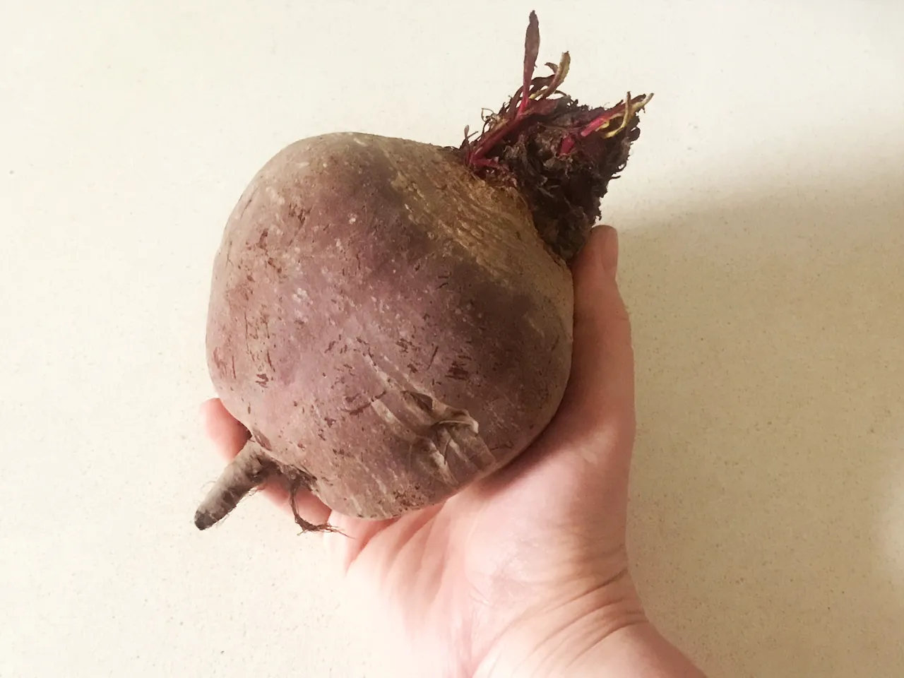 mega beet.jpg