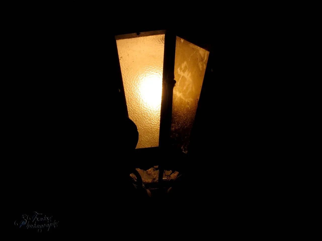 IMG_0523 copia.jpg