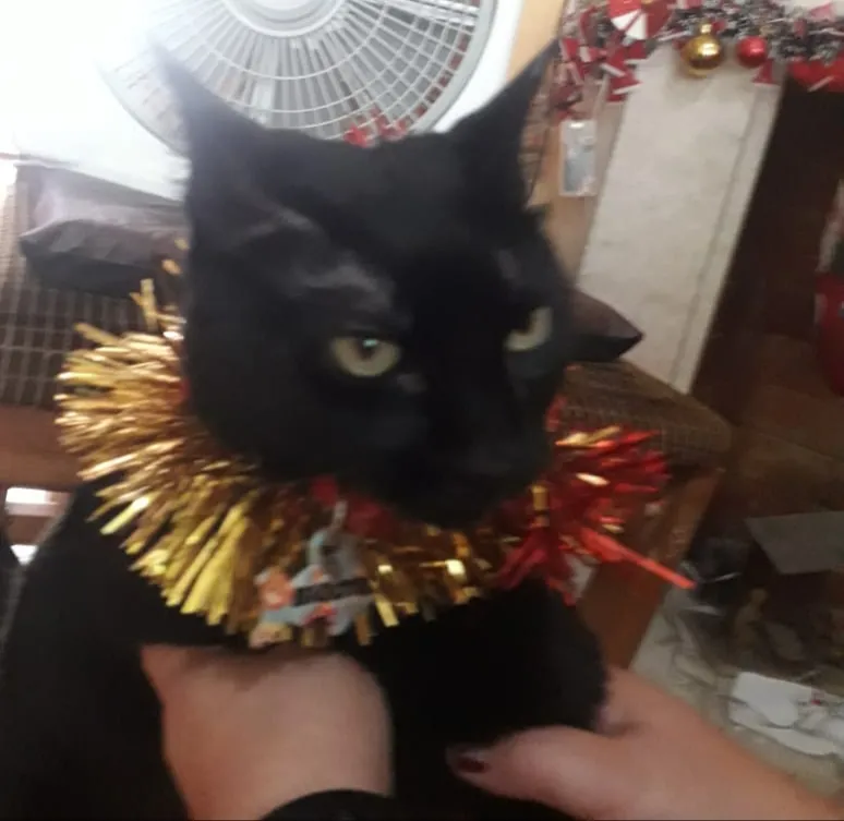 20201231_183625.jpg