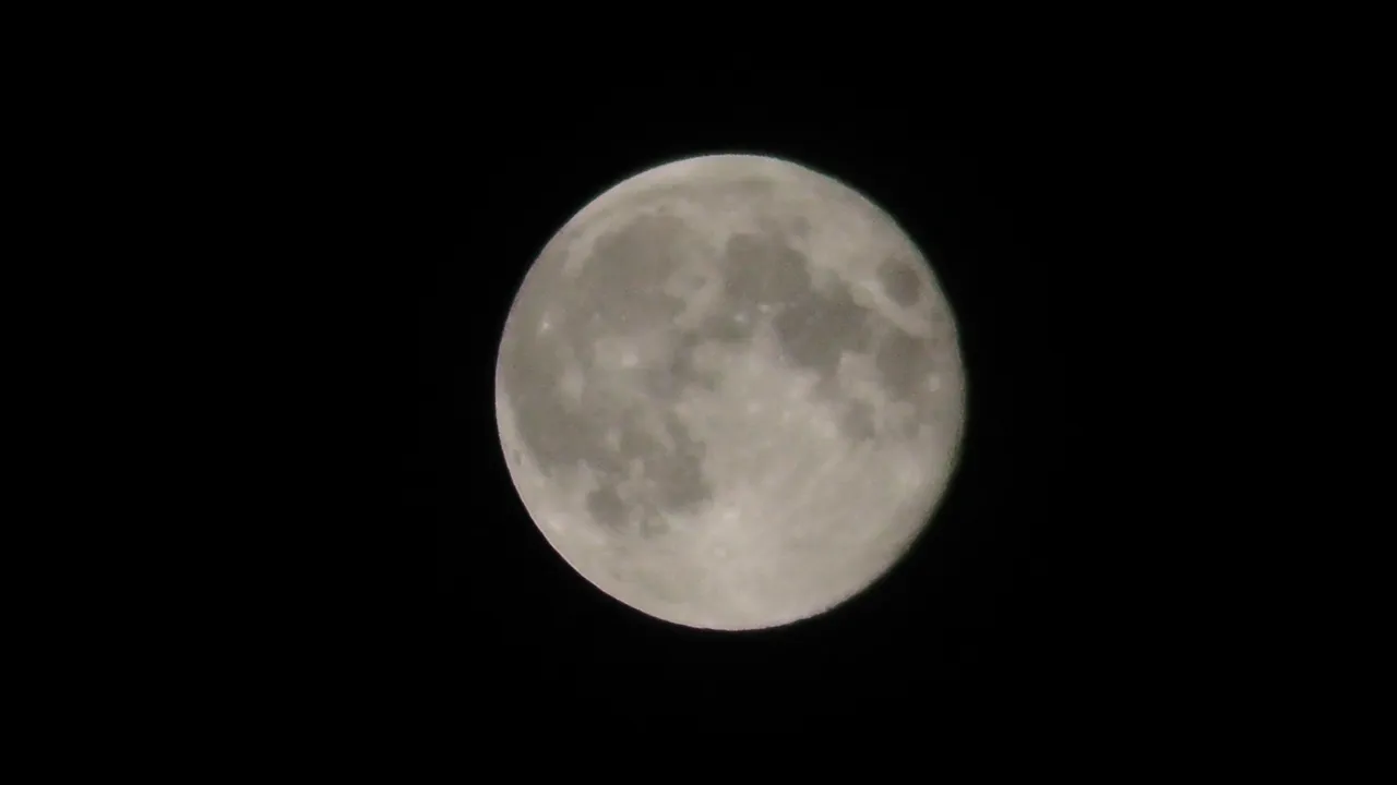 S1430013.JPG