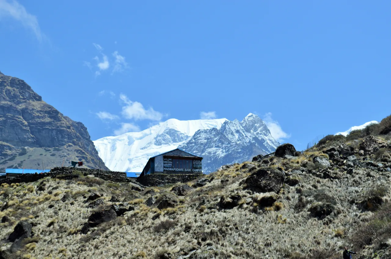 DSC_0164 2.JPG