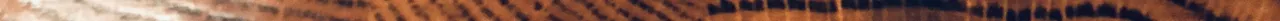 IMG_2033 4.jpeg