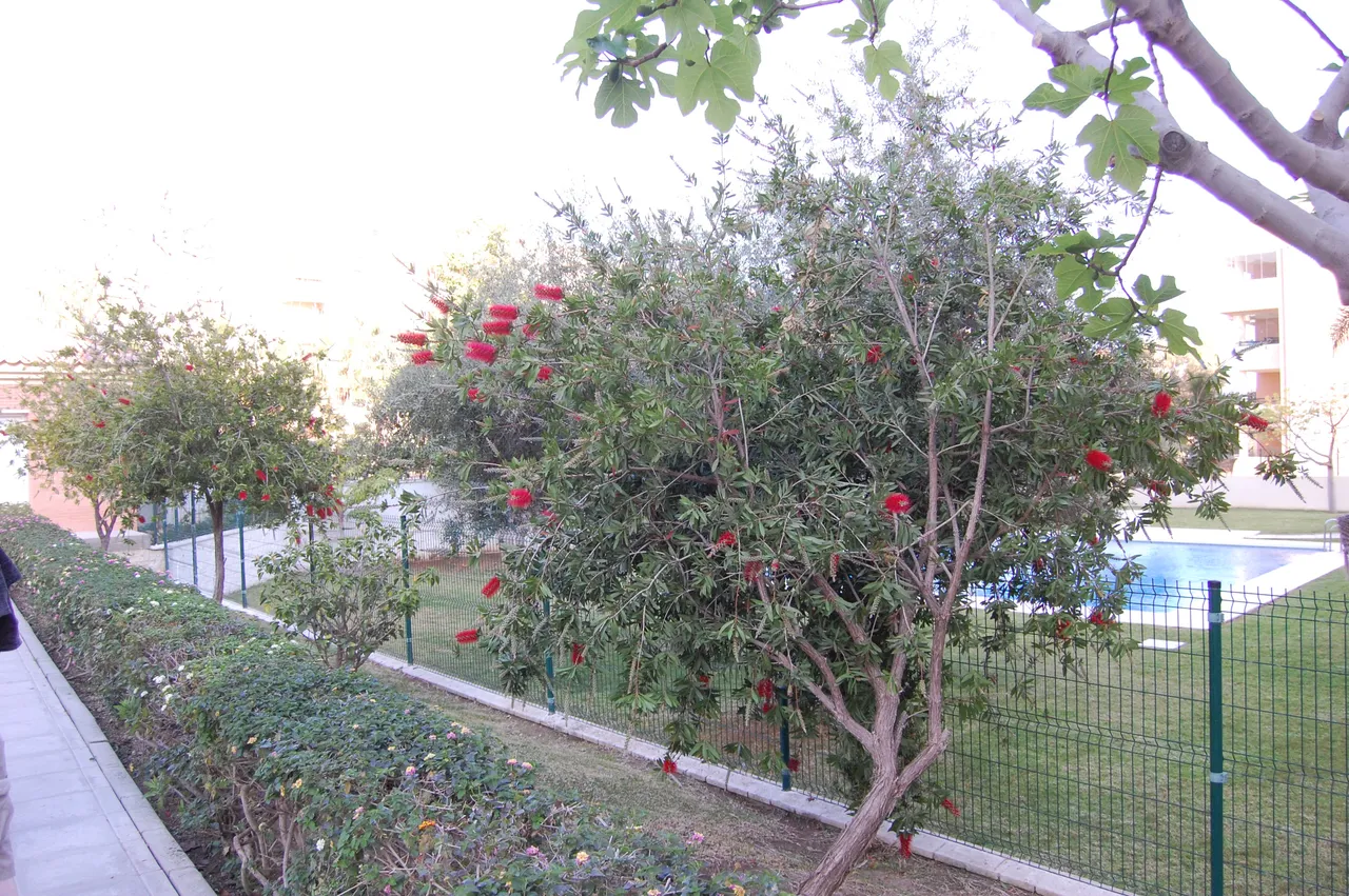 DSC_0319.JPG