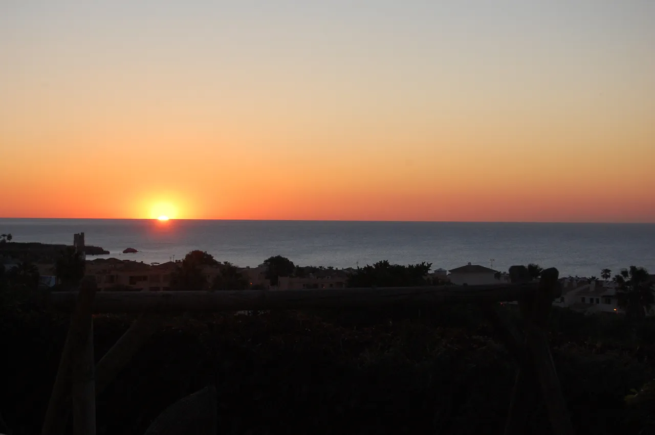 DSC_0330.JPG