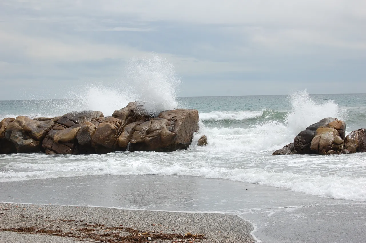 DSC_0453.JPG