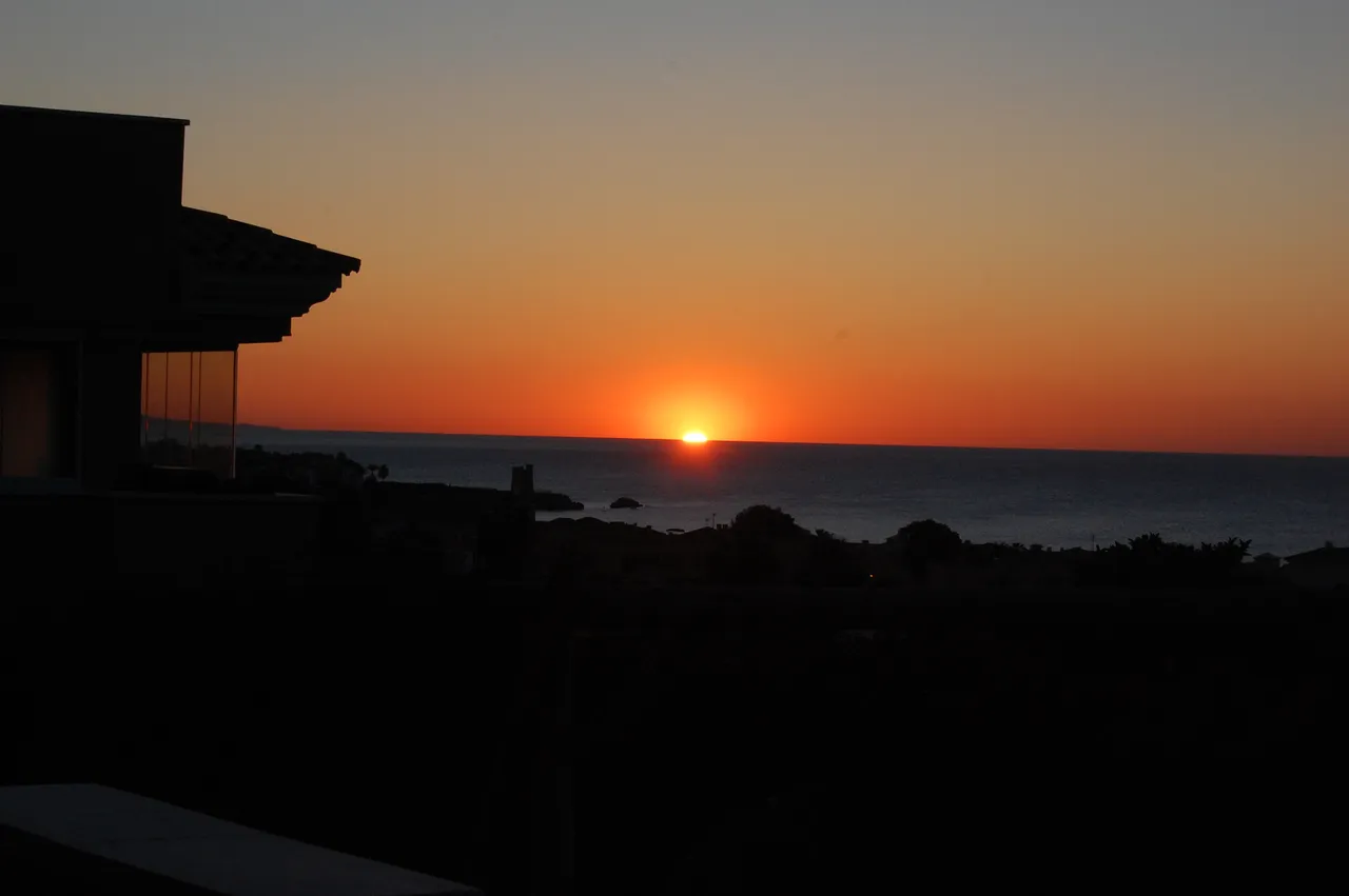 DSC_0331.JPG