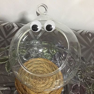 Lonely terrarium by @marblely