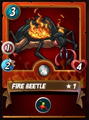 Fire Beetle.jpg