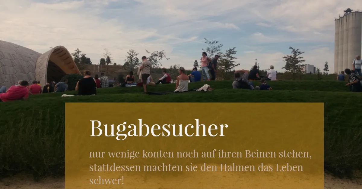 Bugabesucher.jpg
