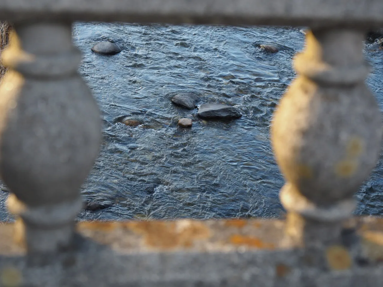 P3310010.JPG