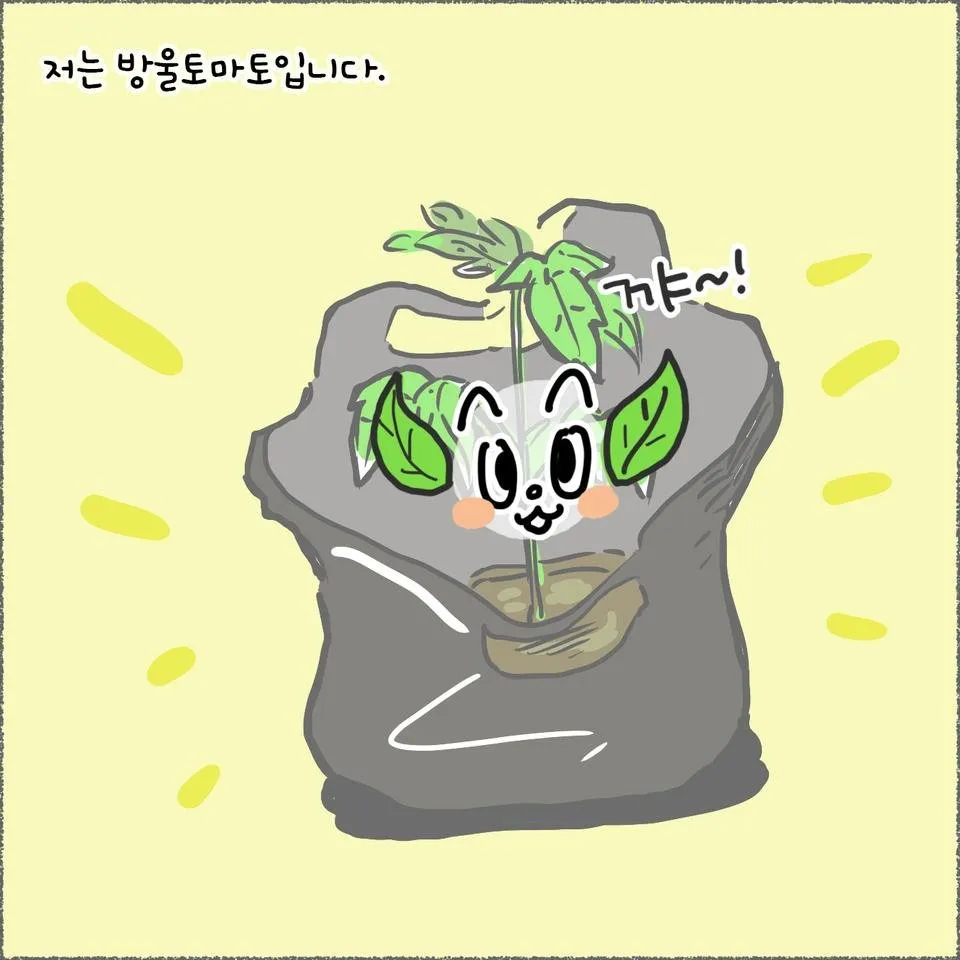 blog09_12.jpg