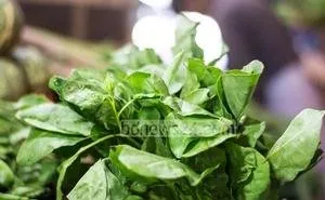 green leafy vegetables (2).jpg