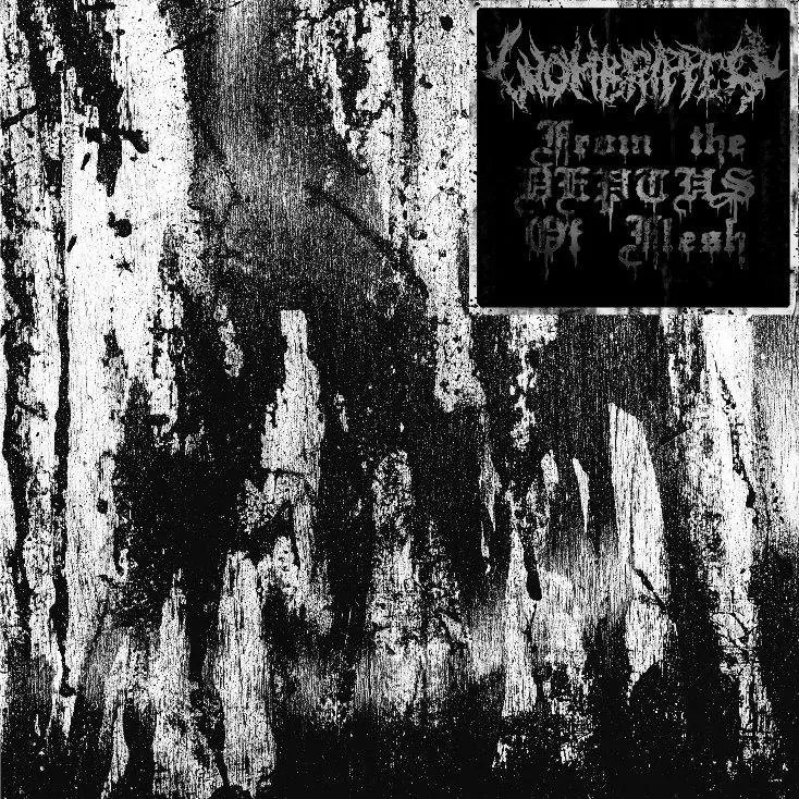 Wombripper - From The Depths Of Flesh.jpg