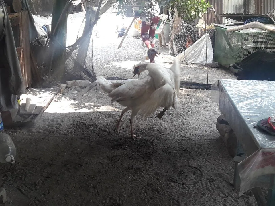 20180329_124719.jpg