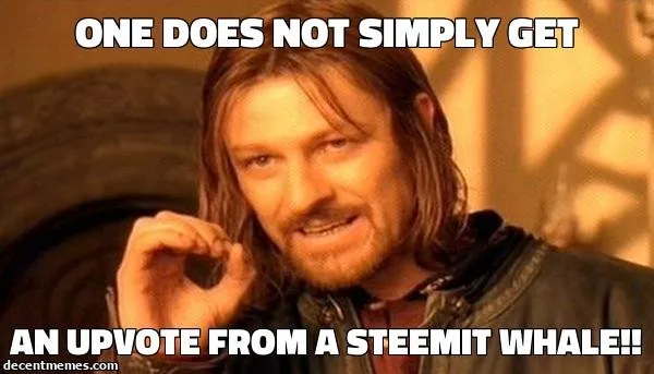 an_upvote_from_a_steemit_whale!!.jpg