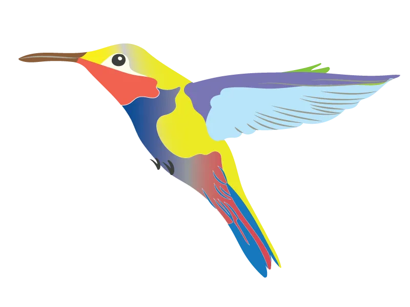 Bird.png