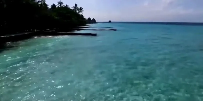 836.jpg