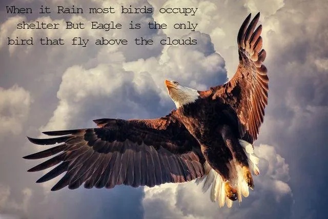best-famous-quotes-images-67fdf3c8.jpg