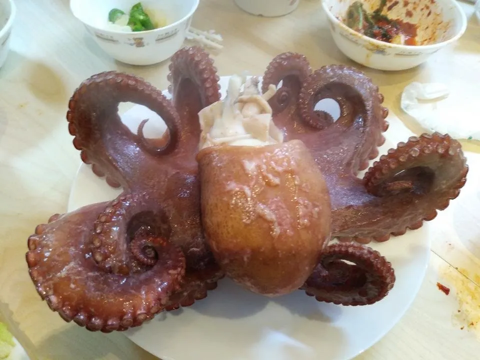 20180421_204539.jpg